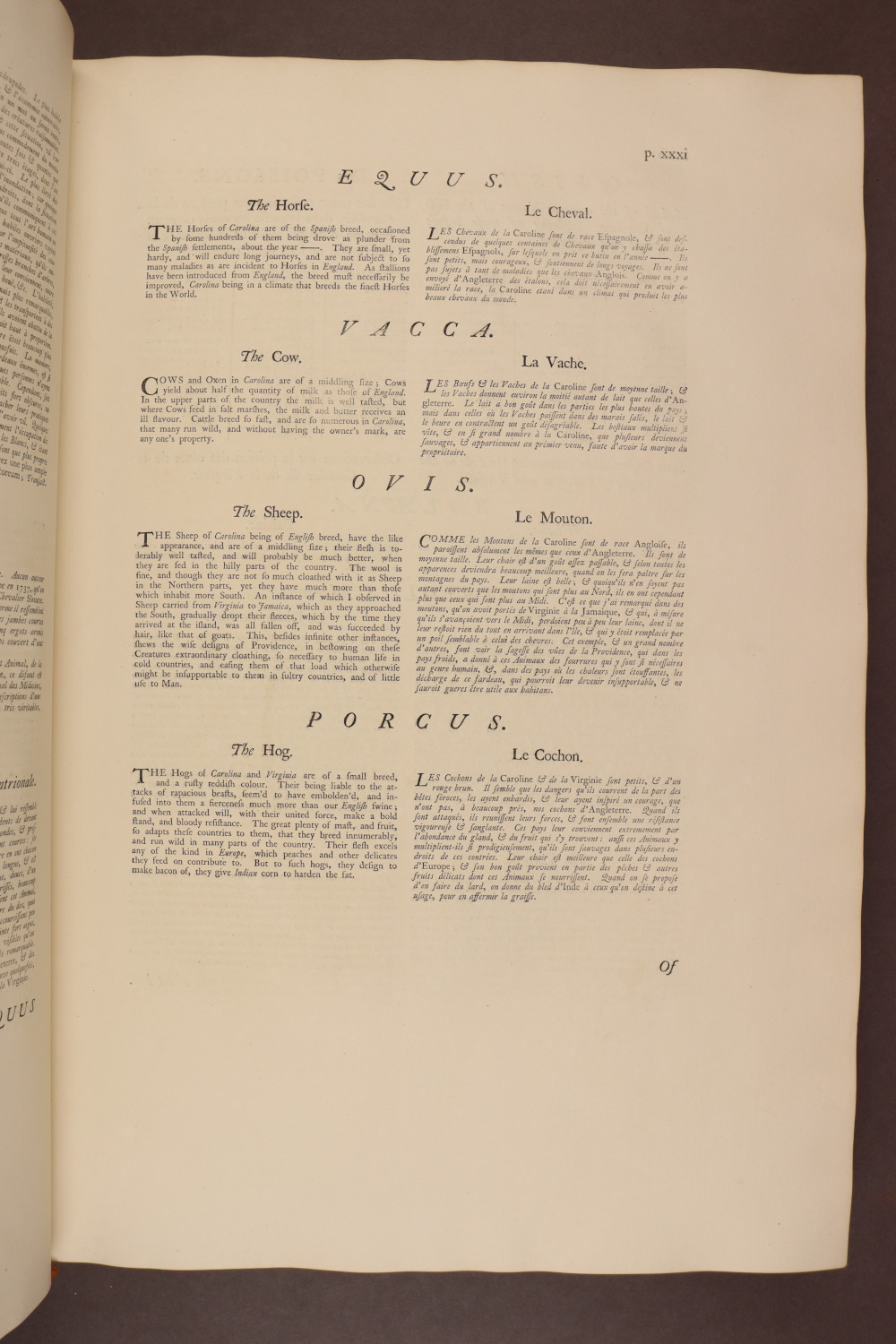 Page xxxi